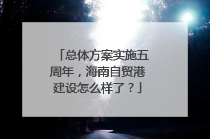 总体方案实施五周年，海南自贸港建设怎么样了？