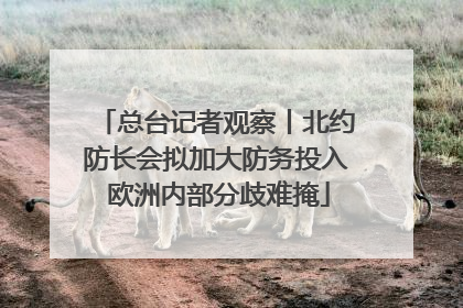 总台记者观察丨北约防长会拟加大防务投入 欧洲内部分歧难掩