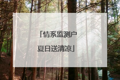 情系监测户 夏日送清凉