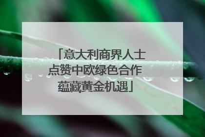 意大利商界人士点赞中欧绿色合作蕴藏黄金机遇