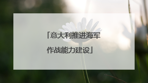 意大利推进海军作战能力建设