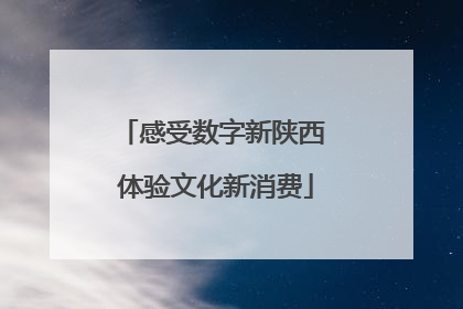 感受数字新陕西 体验文化新消费