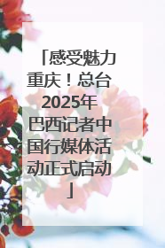 感受魅力重庆！总台2025年巴西记者中国行媒体活动正式启动