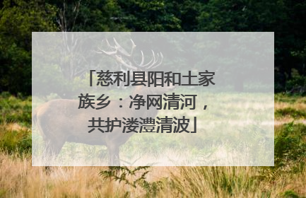 慈利县阳和土家族乡：净网清河，共护溇澧清波