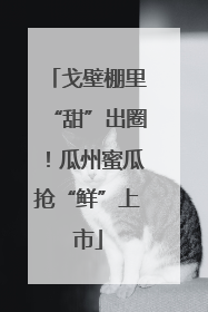 戈壁棚里“甜”出圈！瓜州蜜瓜抢“鲜”上市