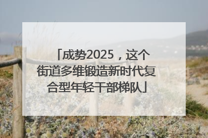 成势2025，这个街道多维锻造新时代复合型年轻干部梯队
