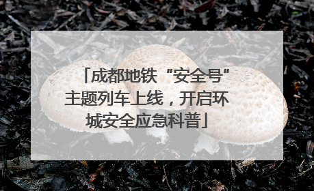 成都地铁“安全号”主题列车上线，开启环城安全应急科普