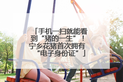 手机一扫就能看到“猪的一生”！宁乡花猪首次拥有“电子身份证”