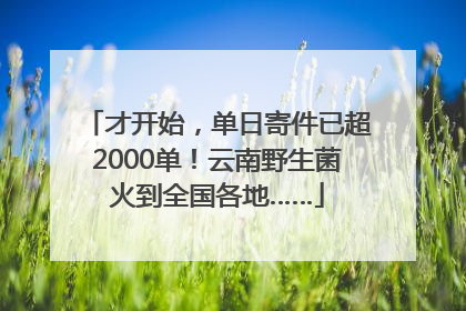 才开始，单日寄件已超2000单！云南野生菌火到全国各地……