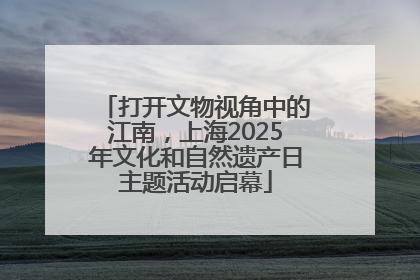 打开文物视角中的江南，上海2025年文化和自然遗产日主题活动启幕