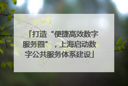 打造“便捷高效数字服务圈”，上海启动数字公共服务体系建设