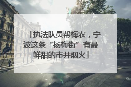 执法队员帮梅农，宁波这条“杨梅街”有最鲜甜的市井烟火