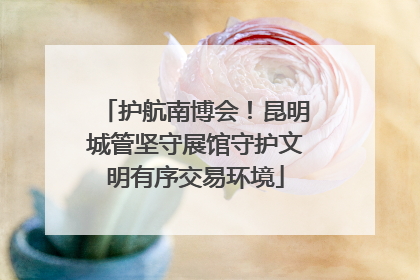 护航南博会！昆明城管坚守展馆守护文明有序交易环境