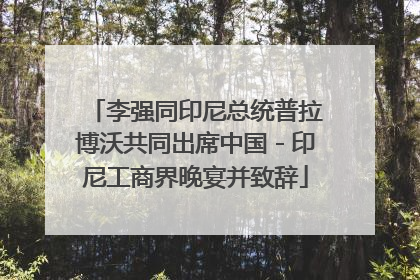 李强同印尼总统普拉博沃共同出席中国－印尼工商界晚宴并致辞