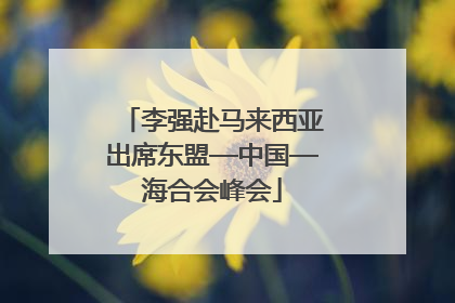 李强赴马来西亚出席东盟—中国—海合会峰会