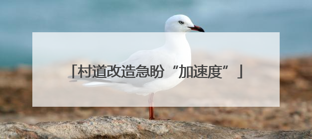 村道改造急盼“加速度”