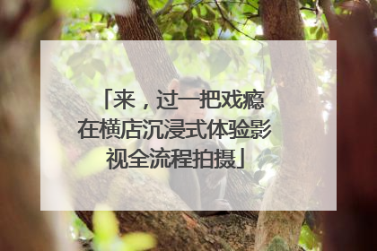 来，过一把戏瘾 在横店沉浸式体验影视全流程拍摄