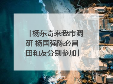 杨东奇来我市调研 杨国强陈必昌田和友分别参加