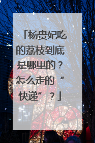 杨贵妃吃的荔枝到底是哪里的？怎么走的“快递”？