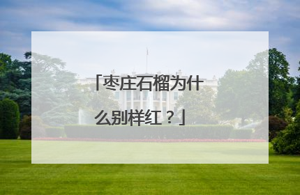 枣庄石榴为什么别样红？