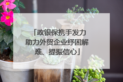 政银保携手发力 助力外贸企业纾困解难、提振信心