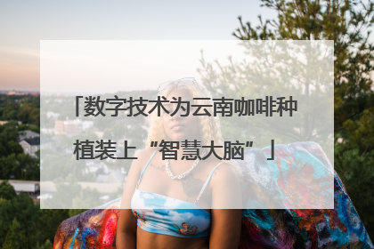 数字技术为云南咖啡种植装上“智慧大脑”