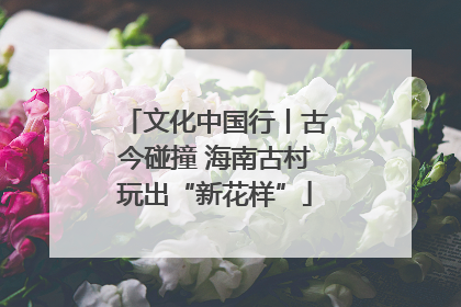 文化中国行丨古今碰撞 海南古村玩出“新花样”