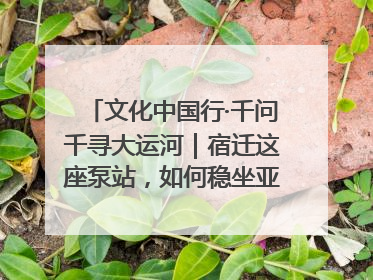 文化中国行·千问千寻大运河｜宿迁这座泵站，如何稳坐亚洲第一宝座？