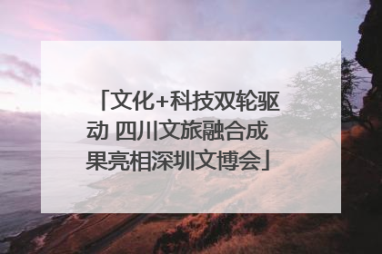 文化+科技双轮驱动 四川文旅融合成果亮相深圳文博会