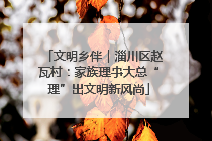 文明乡伴｜淄川区赵瓦村：家族理事大总“理”出文明新风尚