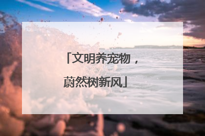 文明养宠物，蔚然树新风