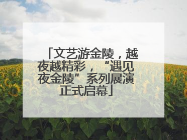 文艺游金陵，越夜越精彩，“遇见夜金陵”系列展演正式启幕