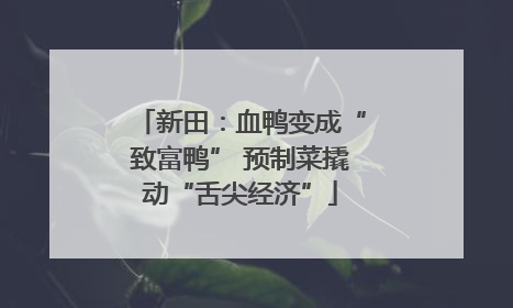 新田：血鸭变成“致富鸭” 预制菜撬动“舌尖经济”