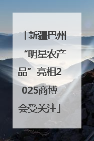 新疆巴州“明星农产品”亮相2025商博会受关注