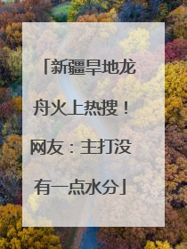 新疆旱地龙舟火上热搜！网友：主打没有一点水分