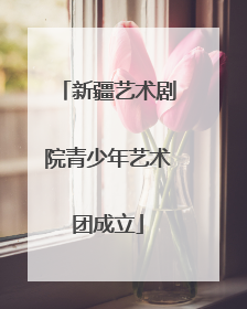 新疆艺术剧院青少年艺术团成立