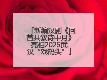 新编汉剧《回首共叙诗中月》亮相2025武汉“戏码头”