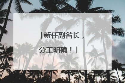 新任副省长，分工明确！