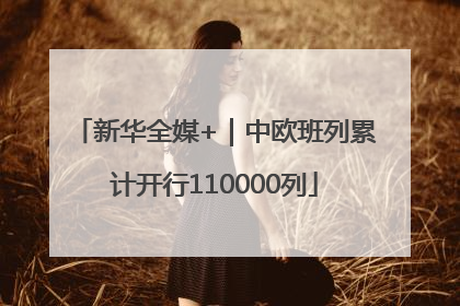 新华全媒+｜中欧班列累计开行110000列