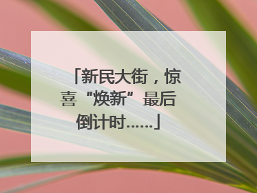 新民大街，惊喜“焕新”最后倒计时……