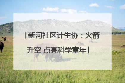 新河社区计生协：火箭升空 点亮科学童年