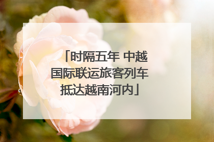 时隔五年 中越国际联运旅客列车抵达越南河内