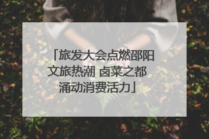 旅发大会点燃邵阳文旅热潮 卤菜之都涌动消费活力