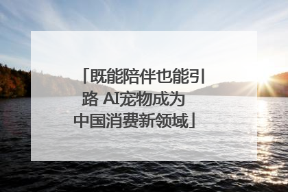 既能陪伴也能引路 AI宠物成为中国消费新领域