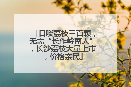 日啖荔枝三百颗，无需“长作岭南人”，长沙荔枝大量上市，价格亲民