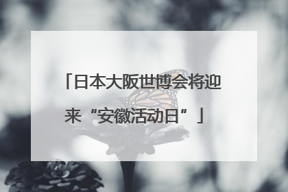日本大阪世博会将迎来“安徽活动日”