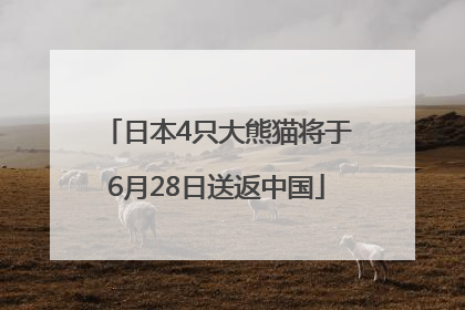 日本4只大熊猫将于6月28日送返中国