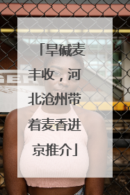 旱碱麦丰收，河北沧州带着麦香进京推介