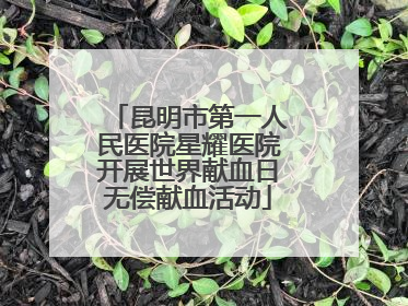昆明市第一人民医院星耀医院开展世界献血日无偿献血活动
