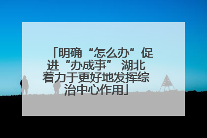 明确“怎么办”促进“办成事” 湖北着力于更好地发挥综治中心作用
